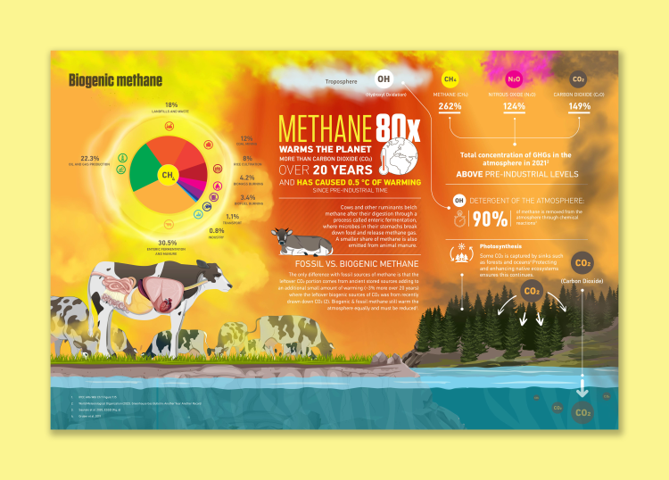 Biogenic Methane