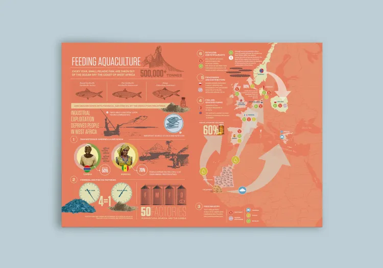 Feeding Aquaculture