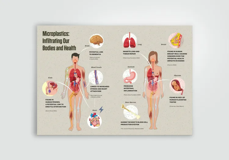 Microplastics: Infiltrating Our Bodies and Health